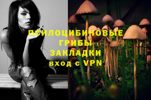 героин Алзамай