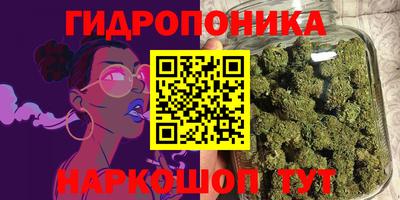 крисы Обнинск