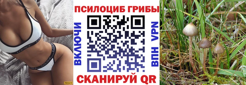 Псилоцибиновые грибы прущие грибы  где найти наркотики  Стрежевой 